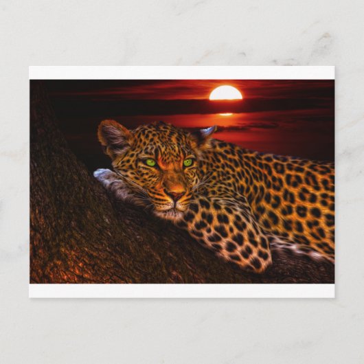 Leopardenpostkarte Postkarte (Vorderseite)