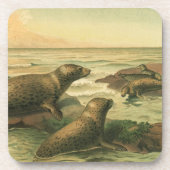 Leopardenseehunde, Vintage Wassertiere Meeresleben Getränkeuntersetzer (Vorderseite)