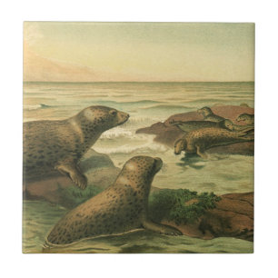 Leopardensiegel, Vintage Wassertiere Meeresleben Fliese
