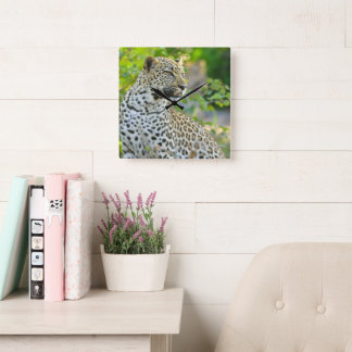 Leopardenuhr quadratische wanduhr