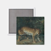 Leopardess (von Jean-Baptiste Oudry) Magnet (Vorderseite/Rückseite)
