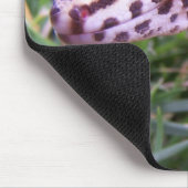 LeopardGecko Mousepad (Ecke)