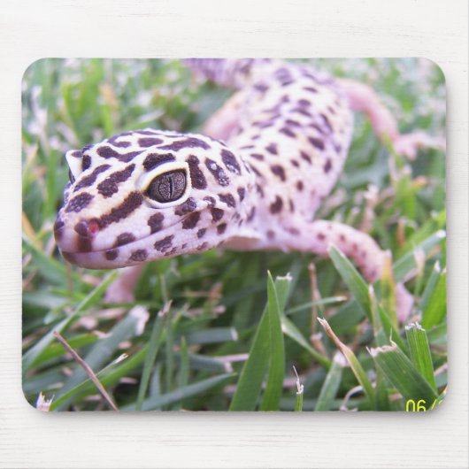 LeopardGecko Mousepad (Vorne)