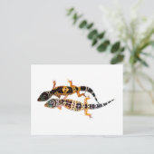 Leopardgecko Pärchen Postkarte (Stehend Vorderseite)
