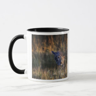 Leopardjunge Panthera Pardus Tasse