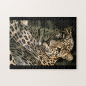 Leopardjungle Puzzle (Horizontal)