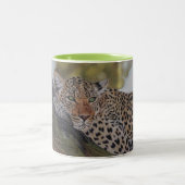 Leopardkaffee-Tasse Zweifarbige Tasse (Mittel)
