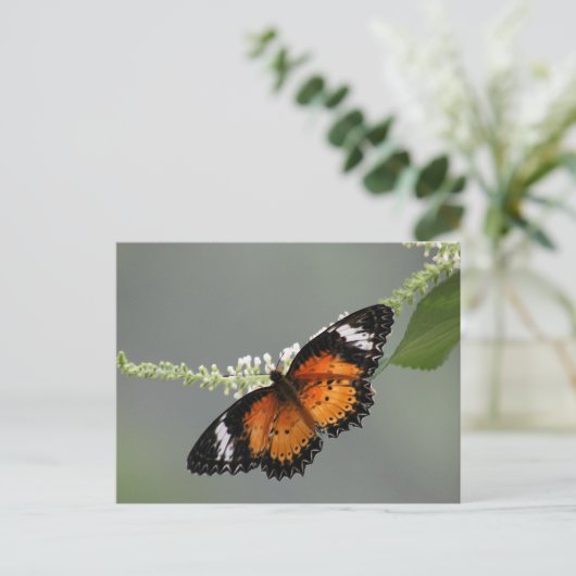LeopardLacewing Postkarte (Stehend Vorderseite)