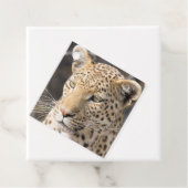 Leopardportrait Geschenkanhänger (Beispiel)