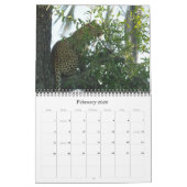 LEOPARDS - ALLE LEOPARD CALENDAR KALENDER (Feb 2026)