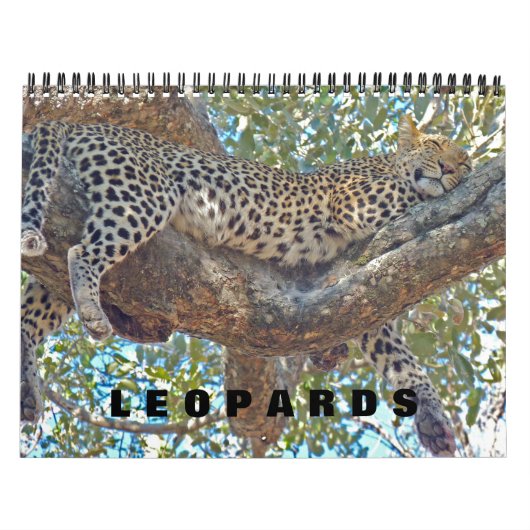 LEOPARDS - ALLE LEOPARD CALENDAR KALENDER (Titelbild)