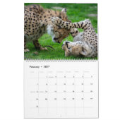 Leopards-Kalender Kalender (Feb 2027)