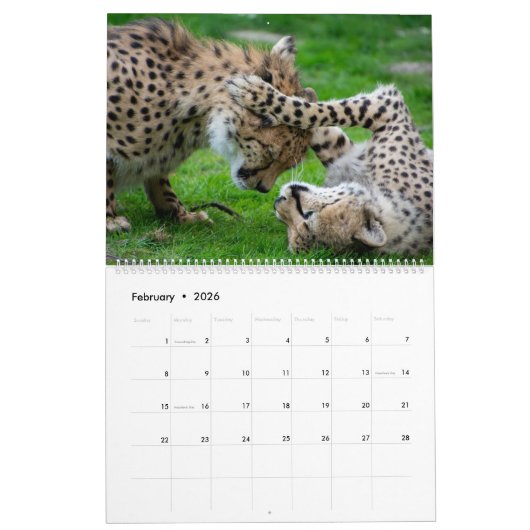 Leopards-Kalender Kalender (Feb 2026)