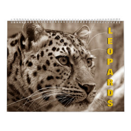 Leopards-Kalender Kalender
