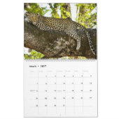 Leopards-Kalender Kalender (Mär 2027)