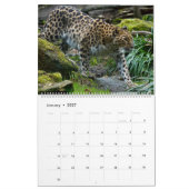 Leopards-Kalender Kalender (Jan 2027)