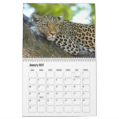 Leopards-Kalender Kalender (Jan 2027)