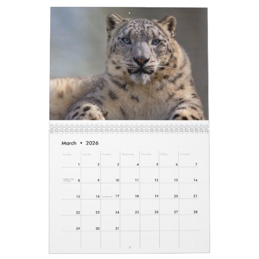 Leopards-Kalender Kalender (Mär 2026)