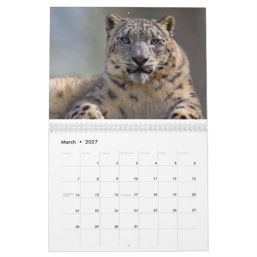 Leopards-Kalender Kalender (Mär 2027)