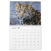 Leopards-Kalender Kalender (Jan 2027)