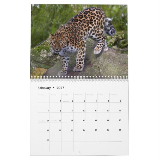 Leopards-Kalender Kalender (Feb 2027)