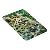 LEOPARDS MAGNET (Rechte Seite)