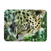 LEOPARDS MAGNET (Horizontal)