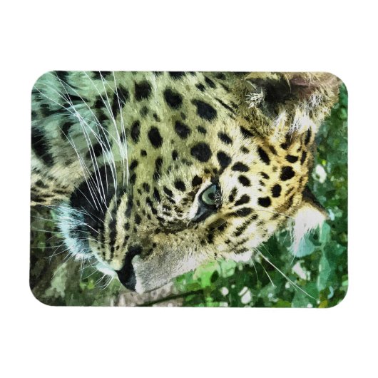 LEOPARDS MAGNET (Horizontal)