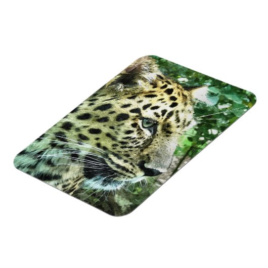 LEOPARDS MAGNET (Linke Seite)
