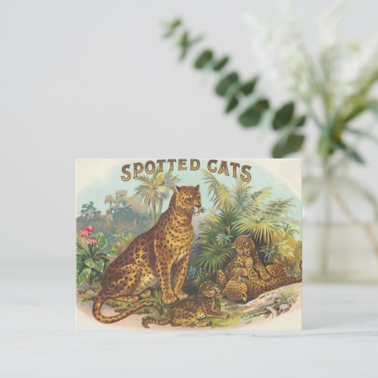 Leopards Postkarte (Stehend Vorderseite)