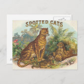 Leopards Postkarte (Vorne/Hinten)