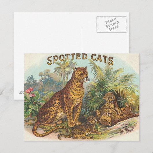 Leopards Postkarte (Vorne/Hinten)
