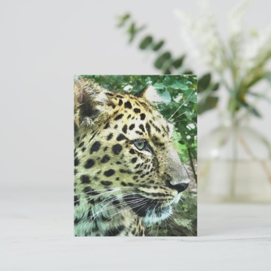LEOPARDS POSTKARTE (Stehend Vorderseite)