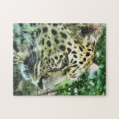 LEOPARDS PUZZLE (Horizontal)
