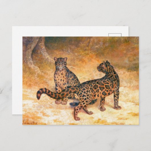 Leopards von Jacques-Laurent Agasse Postkarte (Vorne/Hinten)