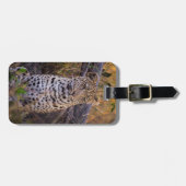 Leopardsitzen, Botswana, Afrika Gepäckanhänger (Vorderseite horizontal)