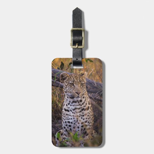 Leopardsitzen, Botswana, Afrika Gepäckanhänger (Vorderseite vertikal)