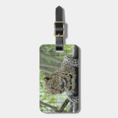 LeopardSundari_007 Gepäckanhänger (Vorderseite vertikal)