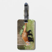 LeopardSundari_007 Gepäckanhänger (Rückseite vertikal)