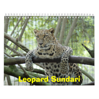 LeopardSundari_008, Leopard Sundari Kalender