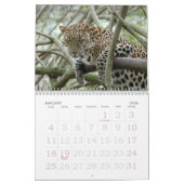 LeopardSundari_008, Leopard Sundari Kalender (Jan 2026)