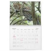 LeopardSundari_008, Leopard Sundari Kalender (Mär 2026)