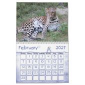 LeopardSundari_010, Leopard Kalender (Feb 2027)