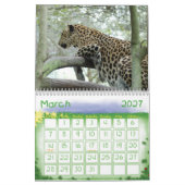 LeopardSundari_010, Leopard Kalender (Mär 2027)