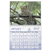 LeopardSundari_010, Leopard Kalender (Jan 2027)