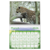 LeopardSundari_010, Leopard Kalender (Mär 2026)