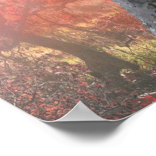 LEOPAREN VON SPLENDORA POSTER (Ecke)