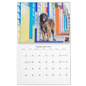 Leos in Oz Kalender (Feb 2027)