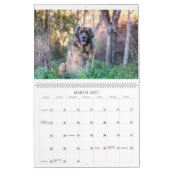 Leos in Oz Kalender (Mär 2027)