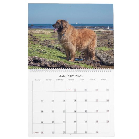 Leos in Oz Kalender (Jan 2026)